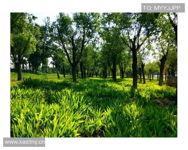 弗拉格盛赞克尼佩尔有望成为4号秀未来发展前景令人期待